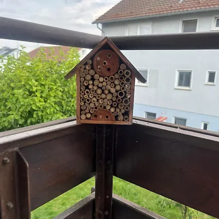 アパート Charmante In バートヴィンプフェン